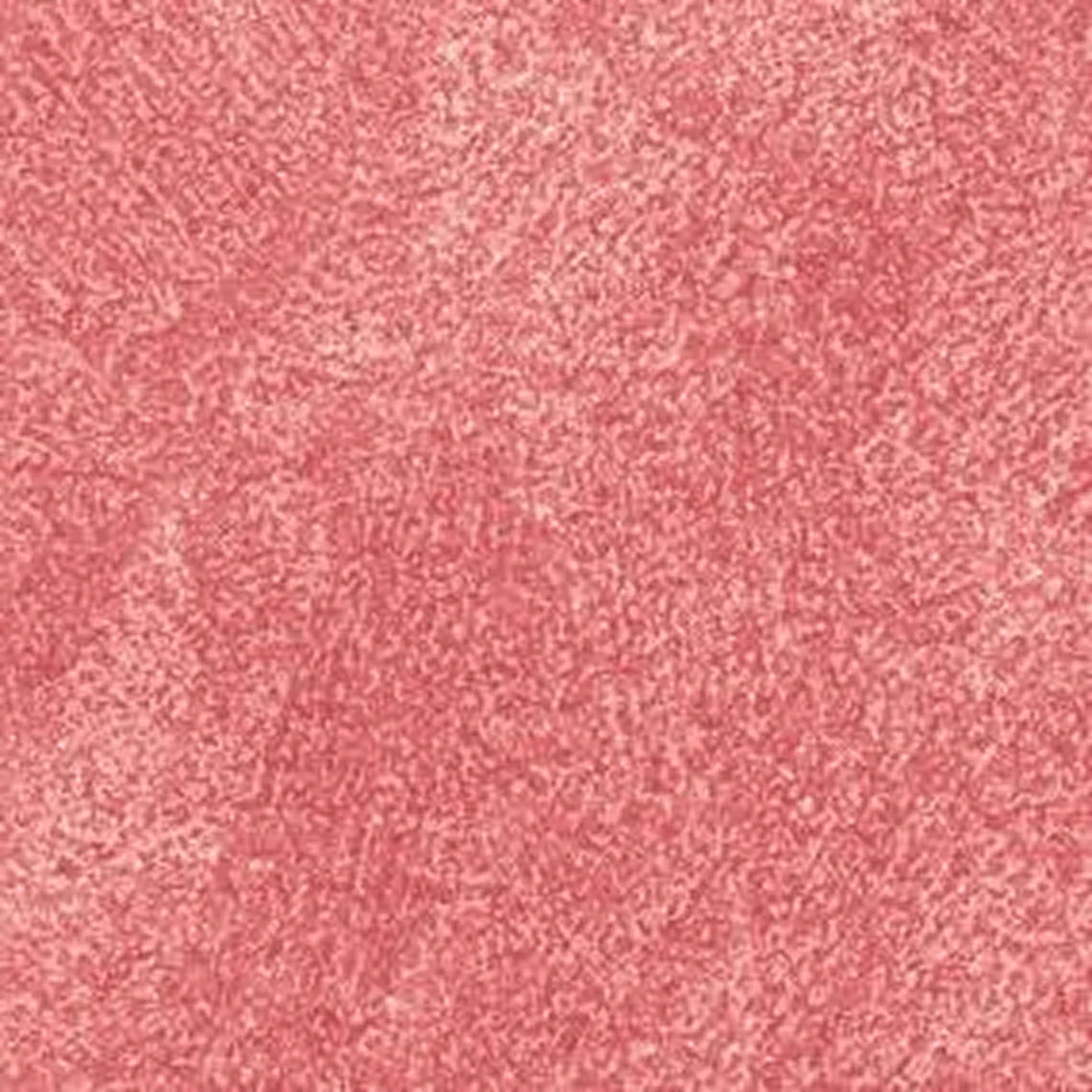 Coral 2